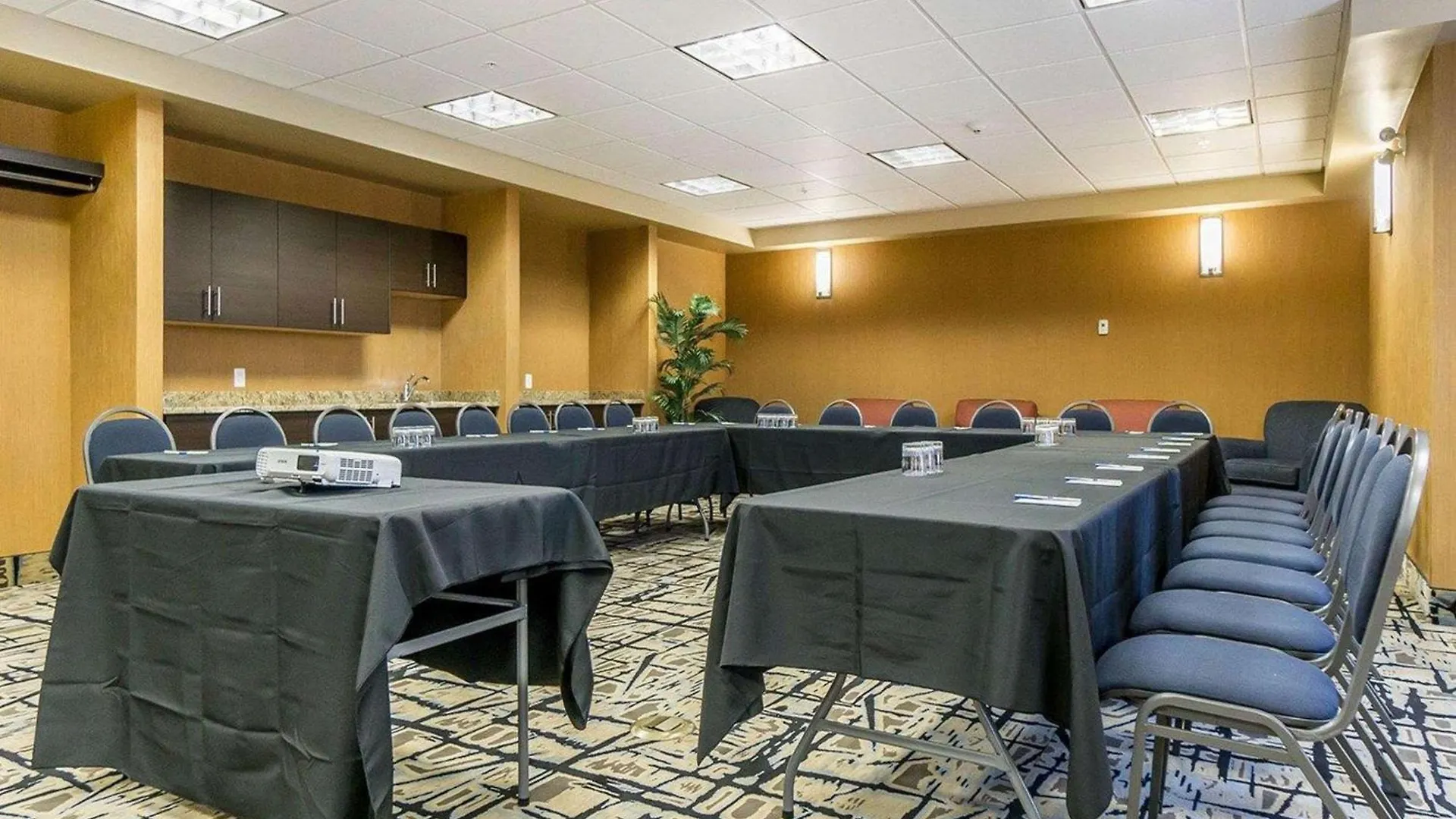 Hotel Comfort Inn & Suites Edmonton International Airport Nisku