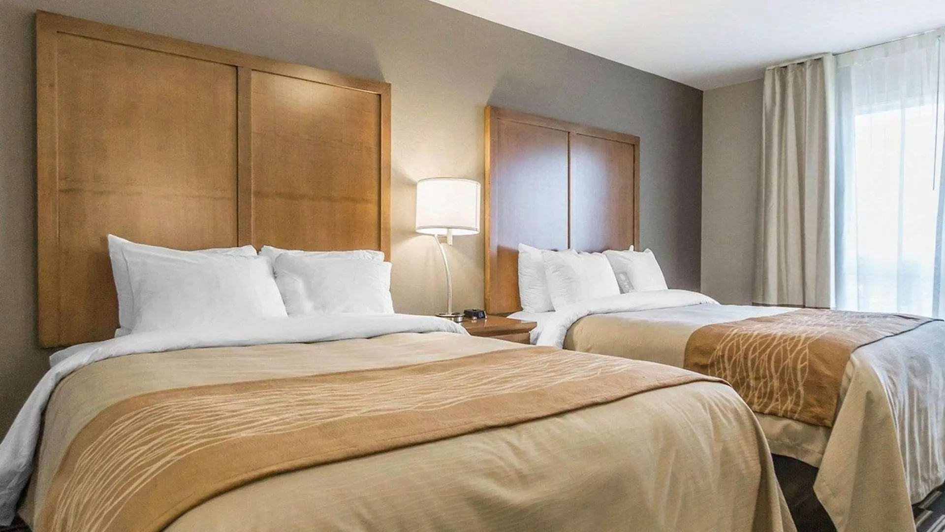 Comfort Inn & Suites Edmonton International Airport Nisku