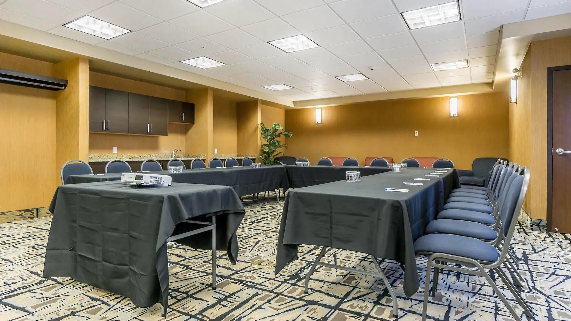 Hotel Comfort Inn & Suites Edmonton International Airport Nisku